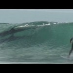 Dolphins make cameo appearance at surfing competition