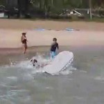 Young Alex learns to longboard in Hanalei Bay from Dad