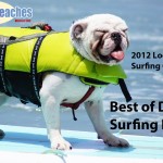2012 Loews Dog Surfing Contest Best of Dog Surf Rides