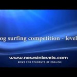 Dog surfing competition – level 1