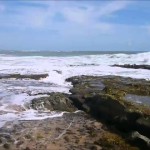 Pipa Beach Tours Video