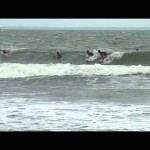 1st Bislig City Surfing Competition Free Surf MaBi Surfers (Mabakat Bislig Surfers)