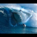 Shark ‘Photobombs’ Australian Surfing Competition