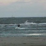 Emir Kite Surfing